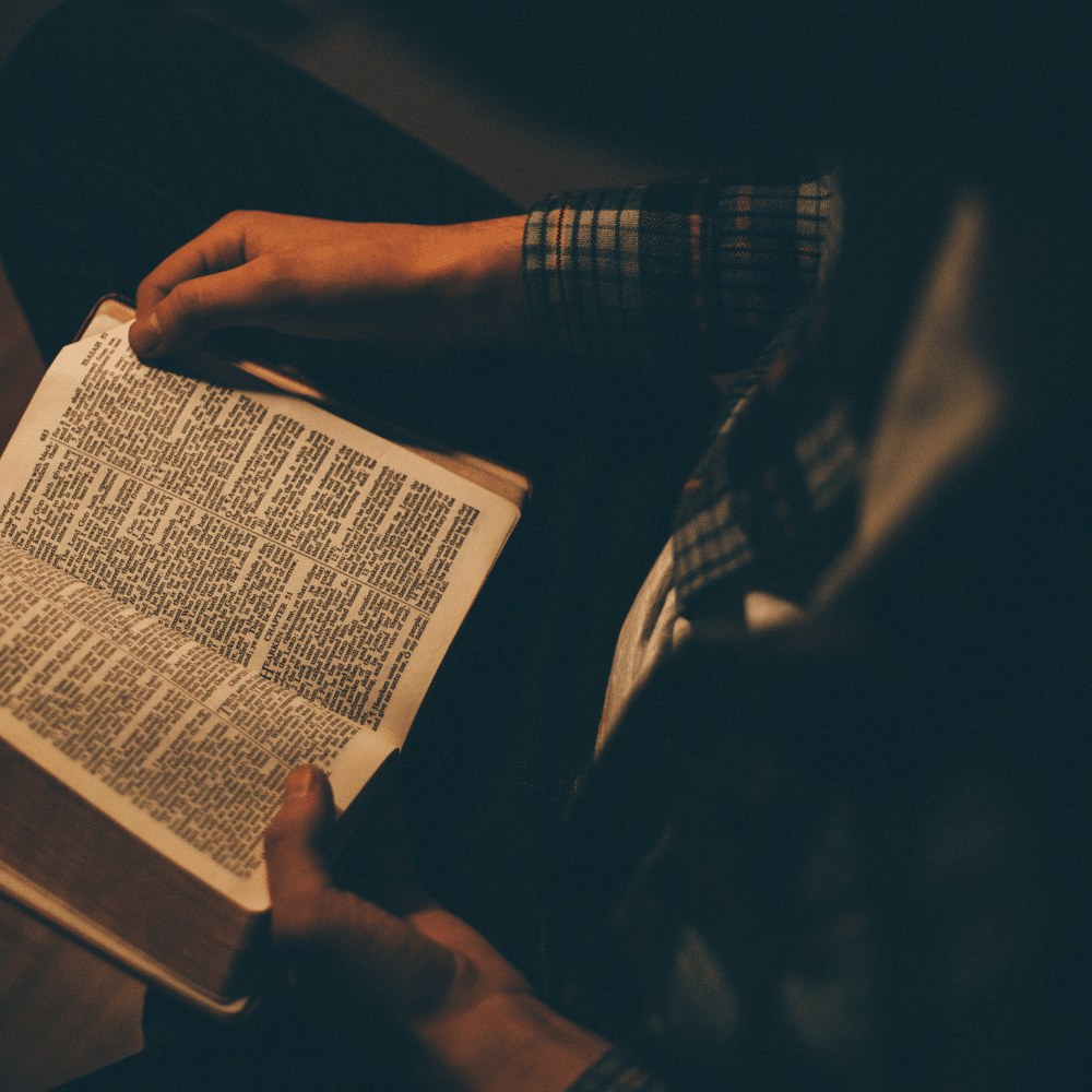 Conéctate con la Palabra Divina